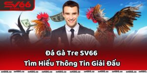 Đá Gà Tre SV66 - Tìm Hiểu Thông Tin Giải Đấu Kịch Tính Hàng Đầu