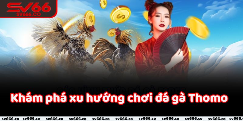 Khám phá xu hướng chơi đá gà Thomo hiện nay