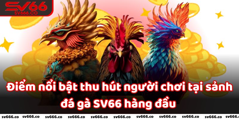 Điểm nổi bật thu hút người chơi tại sảnh đá gà SV66 hàng đầu