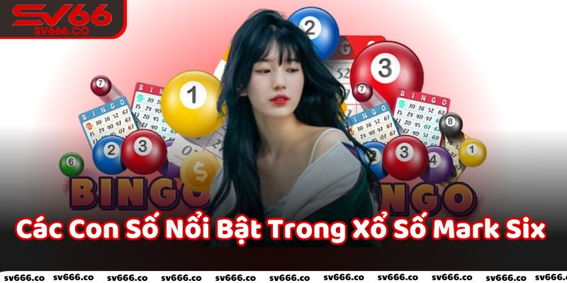 Các Con Số Nổi Bật Trong Xổ Số Mark Six Nửa Đầu Năm 2024