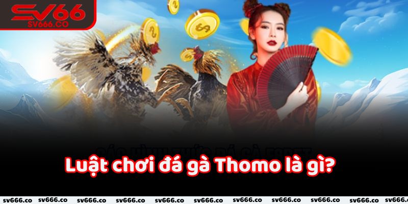 Luật chơi đá gà Thomo là gì?