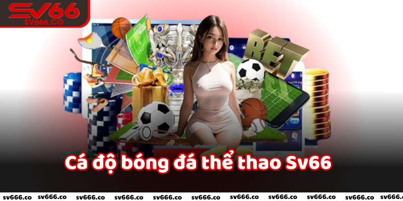 Cá độ bóng đá thể thao Sv66 