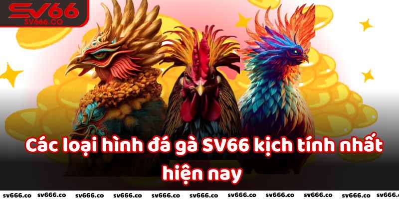 Top những loại hình đá gà Sv66 không thể bỏ qua