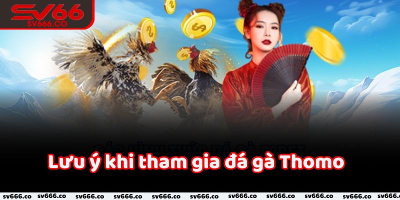 Lưu ý khi tham gia đá gà Thomo