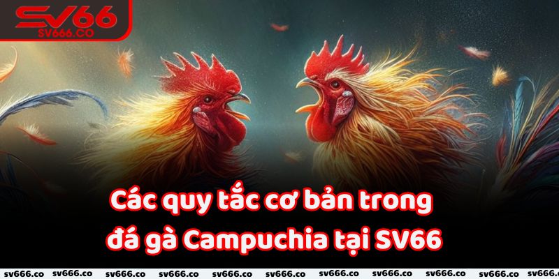 Các quy tắc cơ bản trong đá gà Campuchia tại SV66