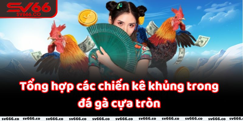 Tổng hợp các chiến kê khủng trong đá gà cựa tròn