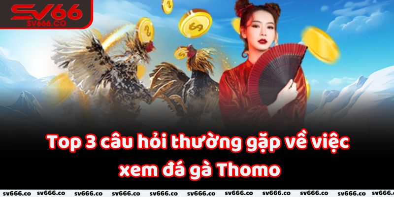 Top 3 câu hỏi thường gặp về việc xem đá gà Thomo