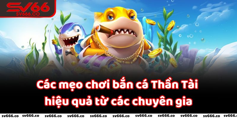 Các mẹo chơi bắn cá Thần Tài hiệu quả từ các chuyên gia