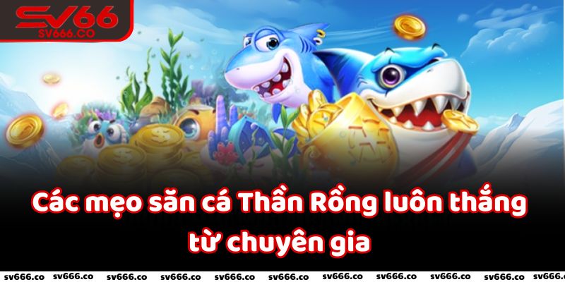 Các mẹo săn cá Thần Rồng luôn thắng từ chuyên gia