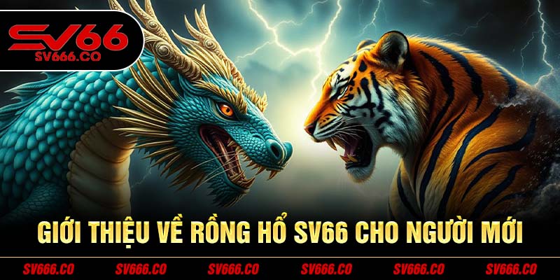 Giới thiệu về Rồng Hổ SV66 cho người mới