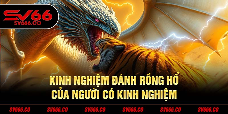 chia sẻ kinh nghiệm chơi Rồng Hổ SV66