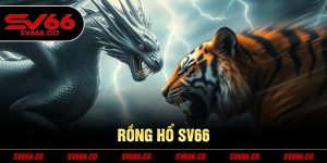 Rồng hổ sv66