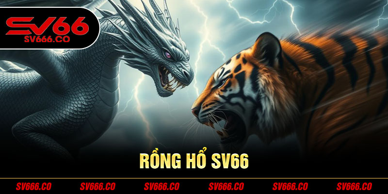 Rồng hổ sv66