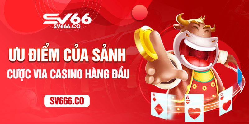 Ưu điểm của sảnh cược ViA Casino hàng đầu